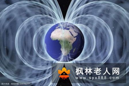 男性合理安排性生活  减少性过度带来的危害