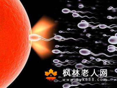男性精子频繁异常怎么办 该如何有效调理