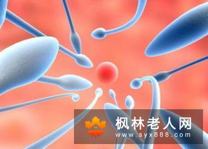 男性精子频繁异常怎么办 该如何有效调理