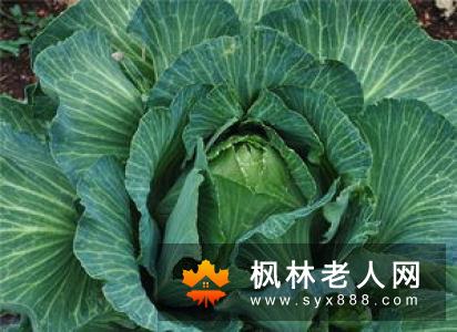 夏天多饮水少憋尿预防尿路感染的食疗方法也不错!养生频道