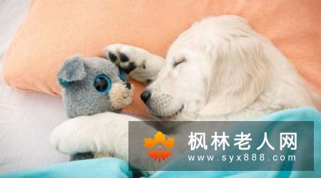 长期睡懒觉的人，身体要“承受”5个后果，别不当回事