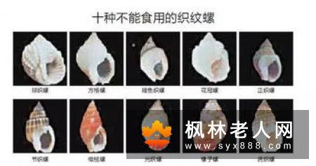 及时清洁舌头 不然会引发5大问题