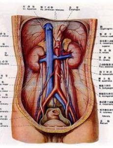 尿频、尿急、尿痛、排尿困难、腺性膀胱炎误诊