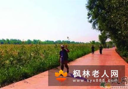 老人都可以选择爬山运动吗 爬山前要准备什么？