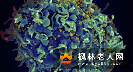 为什么游泳能使人变聪明 可减少炎症风险是真是假