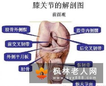 支原体尿路感染为什么会造成不育