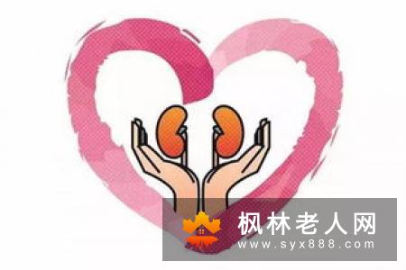 肾气不足当心肾虚？女性吃哪些食物帮助补肾养肾?