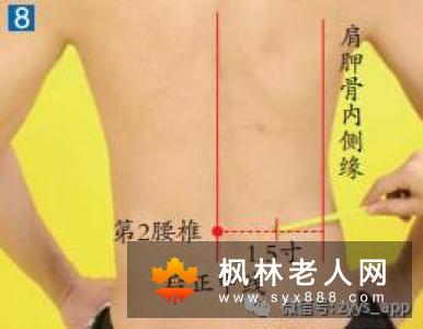 全身按摩是佳选,老年人更不容易得病,练功不可急于求成哦!