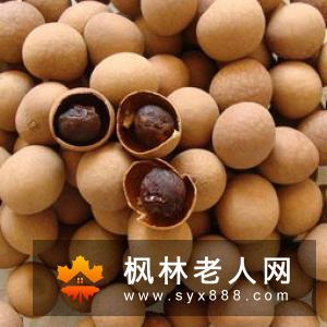 女性贫血吃哪些食物好?16种食物帮补铁补血改善身体缺铁性贫血