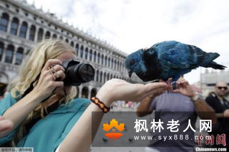 老人饭后能马上散步吗  30分钟后散步更利于健康