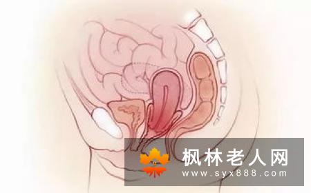 做健康女人拥有好体质 把握这些黄金时期