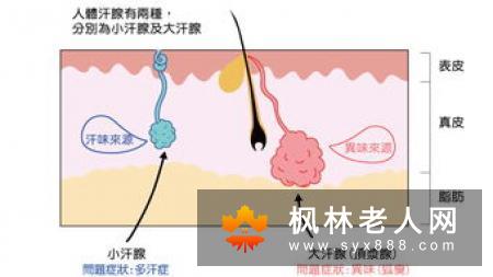 惊！练太极能治乙肝大揭晓