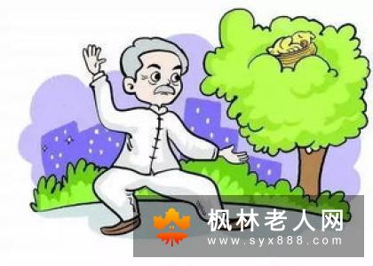 散步方法如此多 适合老人的有哪几种