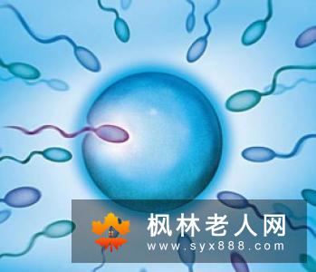 提升精子质量让你好孕