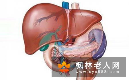 关心肝脏健康 了解更多的肝硬化症状