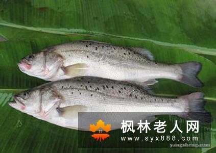 你知道吗？男人吃这6种食物最补肾强精