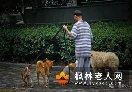 老年人散步的好处和注意事项都有哪些