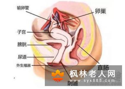 阴道松弛怎么办 变紧一定选对方法才有用
