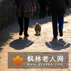 饭后百步走怎么走最健康