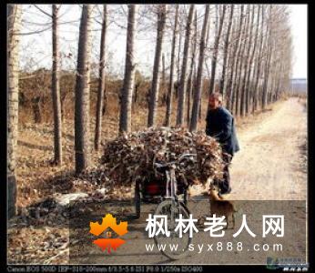 老人如何健身 这7个要点可参考