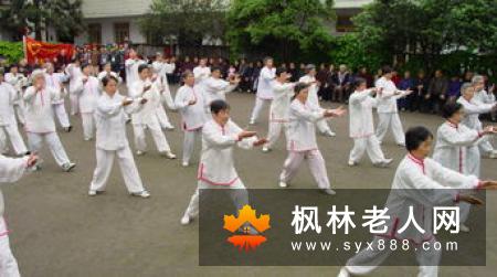 老人练习太极拳应掌握哪些要点和姿势