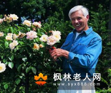 老年人如何养护膝关节 先做到这五点