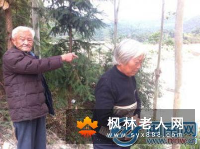 当老人在室内躲开“霾伏”时,又该如何健肺呢?