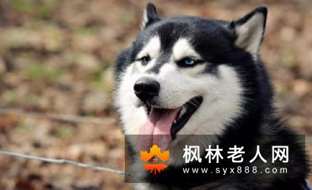 嘴唇透露着你的身体健康 压力太大时嘴唇有什么反应