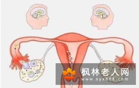 阴囊潮湿是肾虚吗?揭秘阴囊潮湿的发病原因