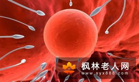 女人卵巢早衰能怀孕吗这个问题的答案