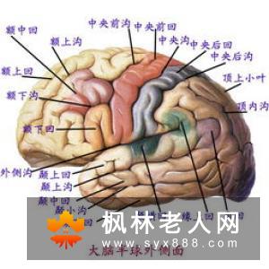 心理疾病的症状