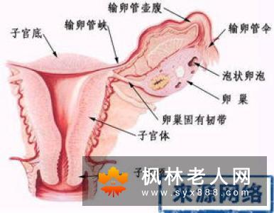 卵巢囊肿的危害进行的先容