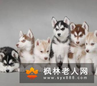 生活小常识：跑步后多久可以喝水解渴