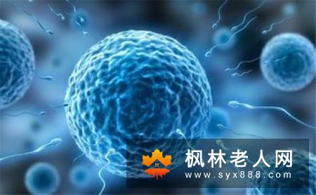 造成精子异常的五大原因 你知道几个