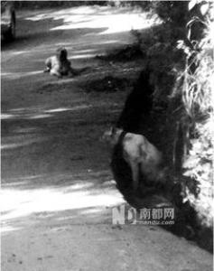 老人爬山晨练对身体好