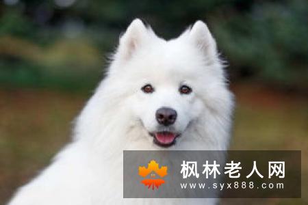 阿伯泰大学完成的一项新研究结果显示