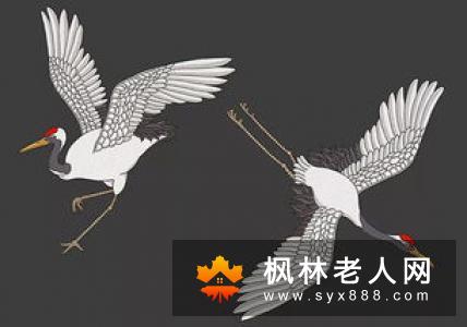 老年人延年益寿的四个关键需牢记
