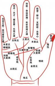 如何判断是否是阴茎癌