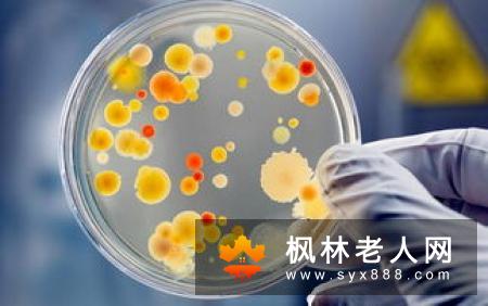 肝脏解毒多吃什么好？这一物就能满足需求