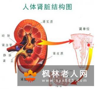 腰痛是因为肾虚？ 这三种情况也会引起腰痛