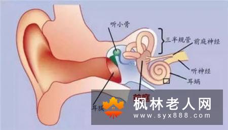 生活中有这样的一群人,他们或许是因为个人习惯