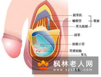 男人自测阳痿易陷入的7大误区