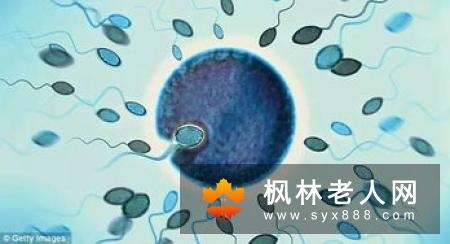 长期食用胡萝卜还有改善精子质量的效果