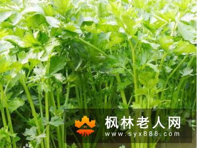 不想戴安全套就多吃芹菜