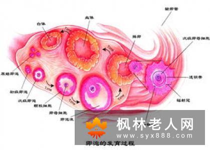 卵巢囊肿难以去除的危害有什么