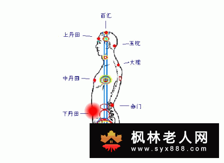 太极拳的呼吸方法专为爱太极的你准备