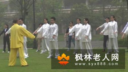 杨氏太极拳24式视频口令教程教你轻松学会太极拳