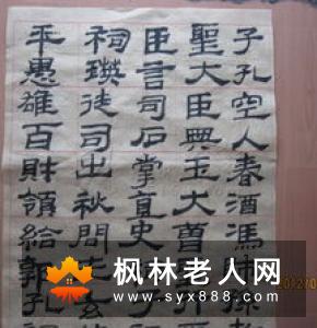 太极的基本功怎么快速入门太极
