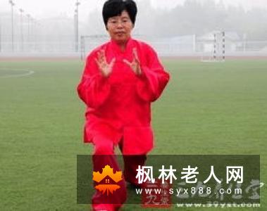 和式太极拳架的特点和式太极推手的要领