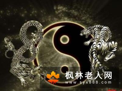 练习太极有哪些好处练太极需要注意的要求